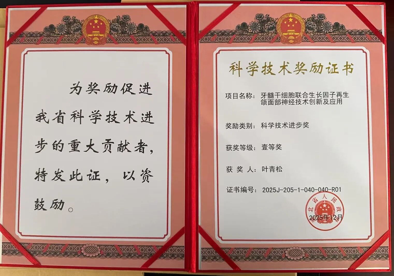 荣誉加冕 | 新北辰集团参与项目荣获湖北省科学技术进步一等奖